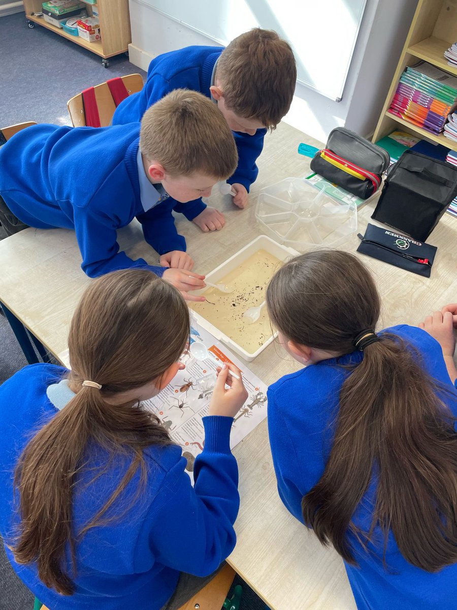 Our Senior Children worked with members of the Blackwater Catchment Trust this term to learn more about the Blackwater as a habitat and a source of drinking water. We are proudly considered to be a partner school now with the BCT <a href="/GreenSchoolsIre/">Green-Schools</a>