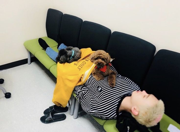 Archive_Roo's tweet photo. #Commedes #Garcons #Kibum https://t.co/4O5cmJEwu5