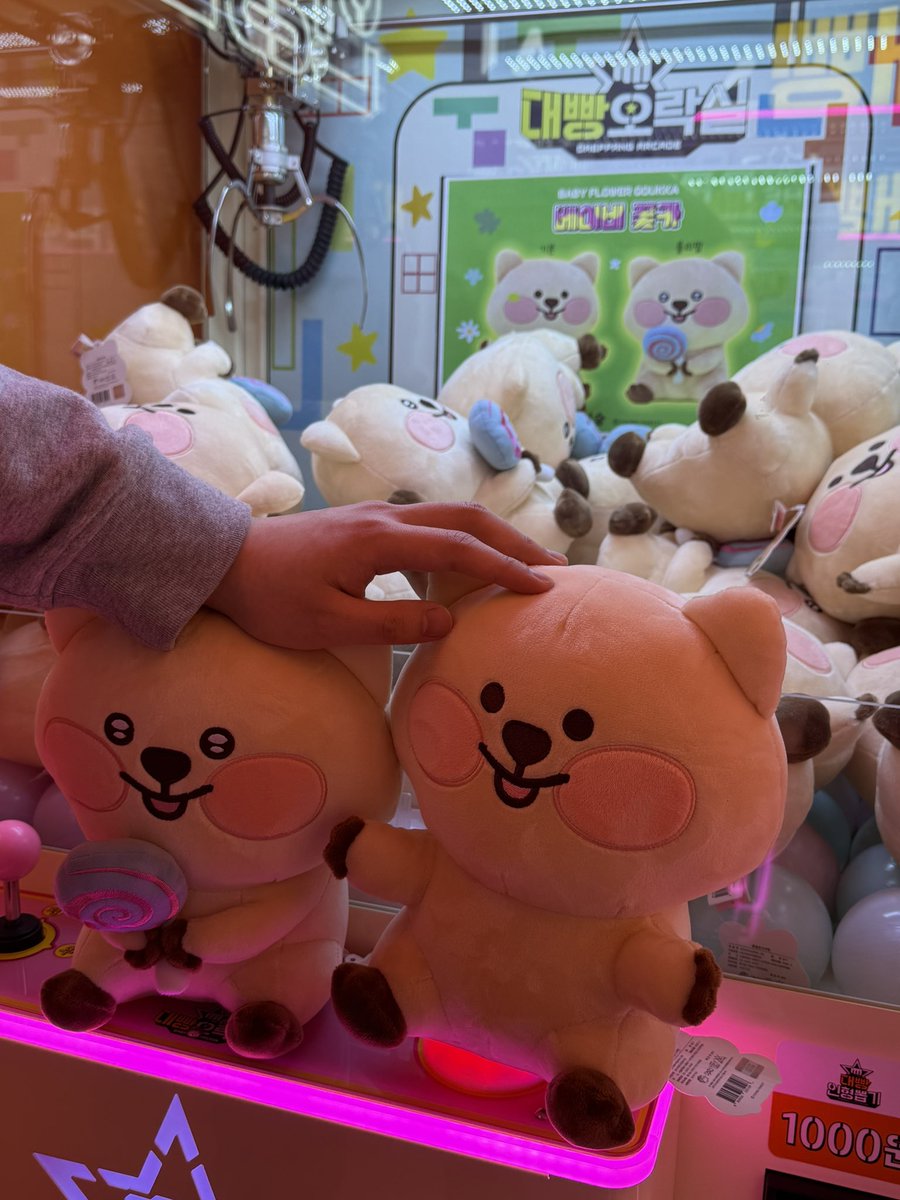 3코인으로 두 개 뽑기