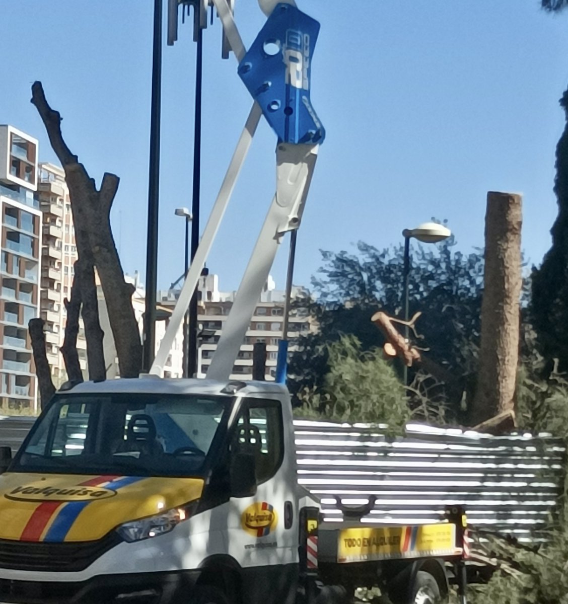 cocottwiter's tweet photo. ¿Es necesario cargarse los pinos de Juan II para reconstruir el estadio? @heraldoes https://t.co/vNnft73Yc5