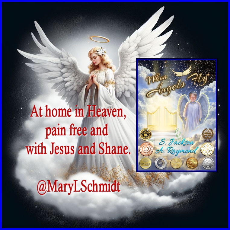 MaryLSchmidt's tweet photo. Thank you! $1.99 "I want to go to Heaven, Mom". Five years old. What would you say to your little boy? Your response to this profound question?"
https://t.co/TnSQAePsCR #BookBoost #ChildhoodCancer #WhenAngelsFly #Christian #inspiring #parenting #BookWorm #BooksWorthReading https://t.co/EICrRUa1Cq