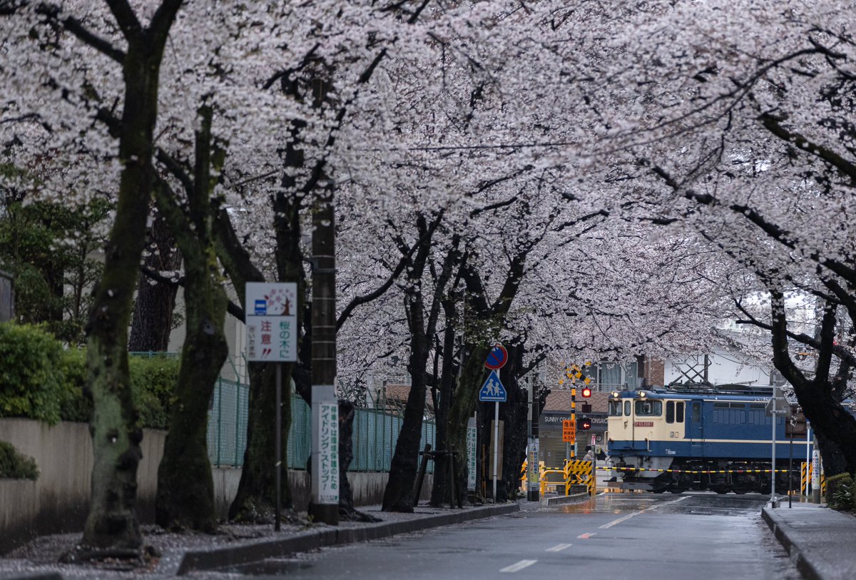2025/04/01
単9074レ EF65 2087