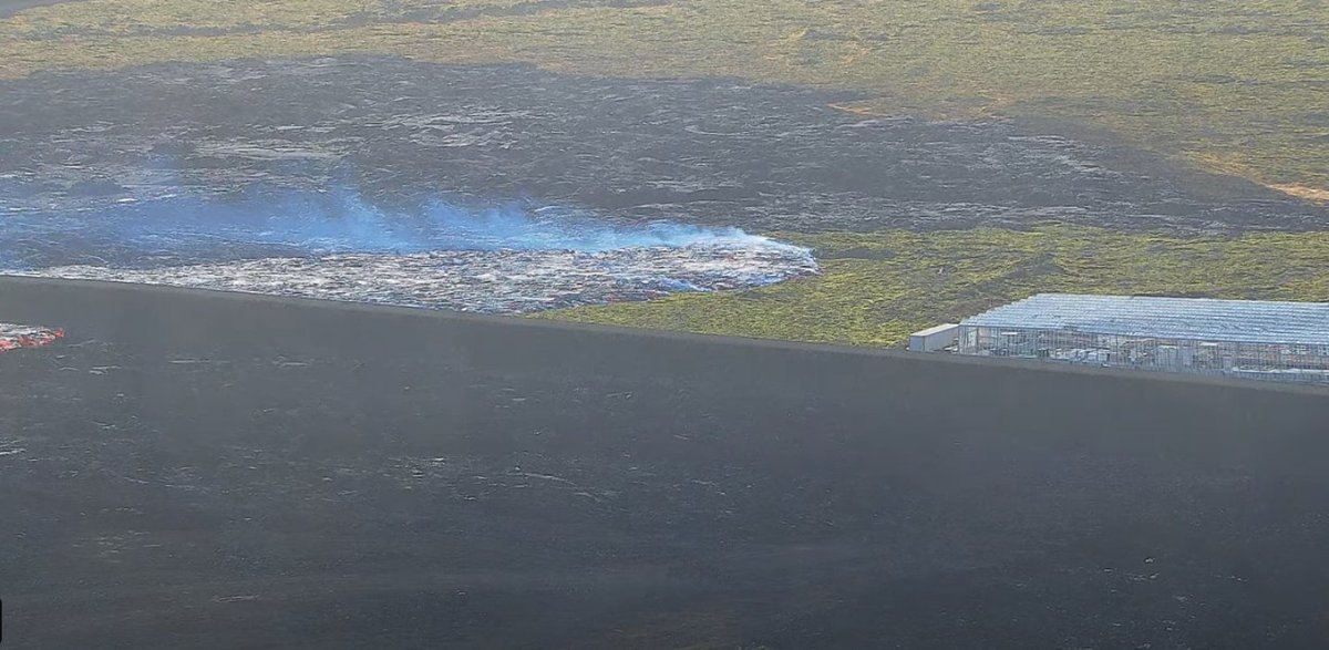 earthy_things tweet media