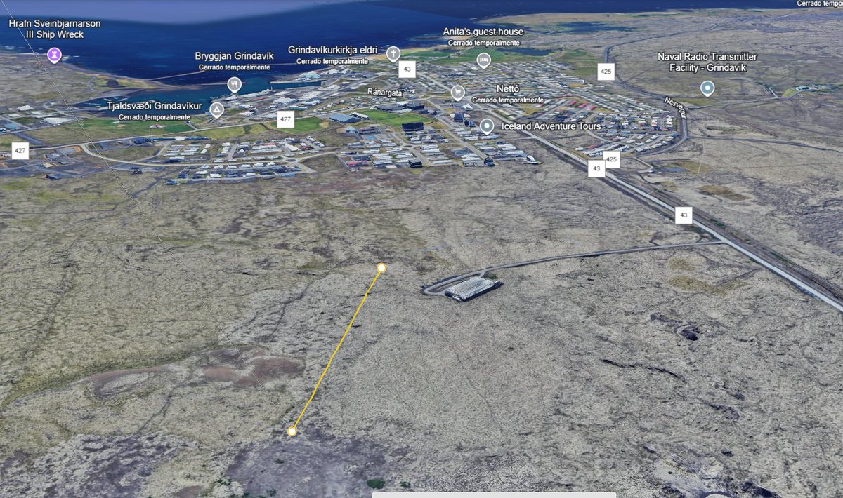 earthy_things tweet media