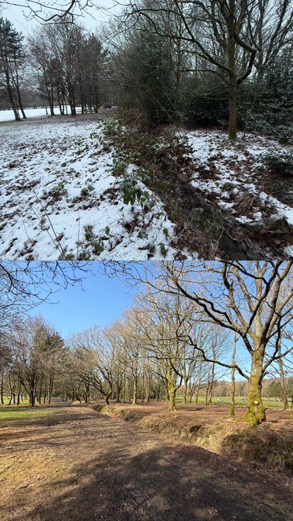 More great woodland management at RGC 🌳