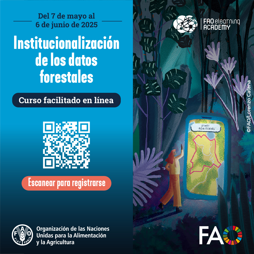 FAOenEspanol's tweet photo. 🌳¿Quieres prender sobre sistemas nacionales de monitoreo forestal para una acción climática informada?

💻No te pierdas el curso en línea gratuito de la FAO desde el 6 de mayo.

¡Inscríbete!👉https://t.co/Hr2SNXtsa3

#LearningNFMS #CBITForest #AIM4Forests 
@theGEF @energygovuk https://t.co/xF79cUpfl4