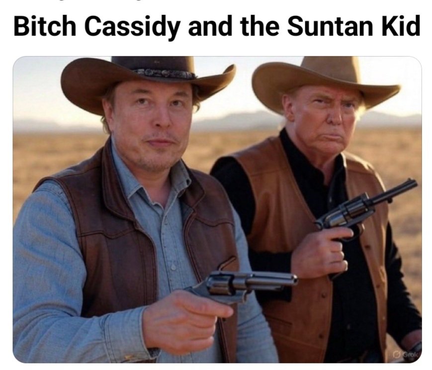 AshleyF2610's tweet photo. Coming to cinemas soon starring #FelonMusk & #DonaldGump https://t.co/8Q8QKmuxdz