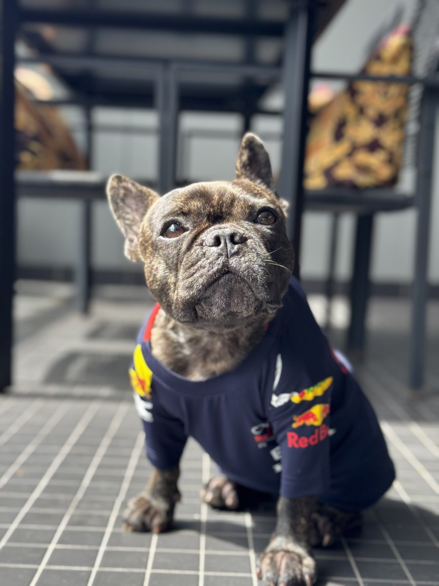trenticles's tweet photo. @redbullracing https://t.co/0FBsfznndG