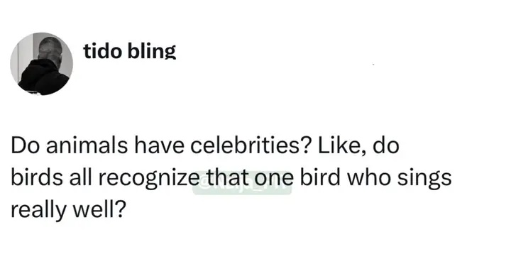 Whispered thoughts ✨