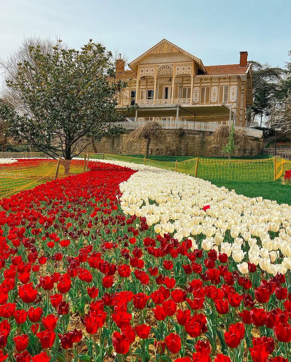 İstanbul Yapılacaklar Listesi tweet media