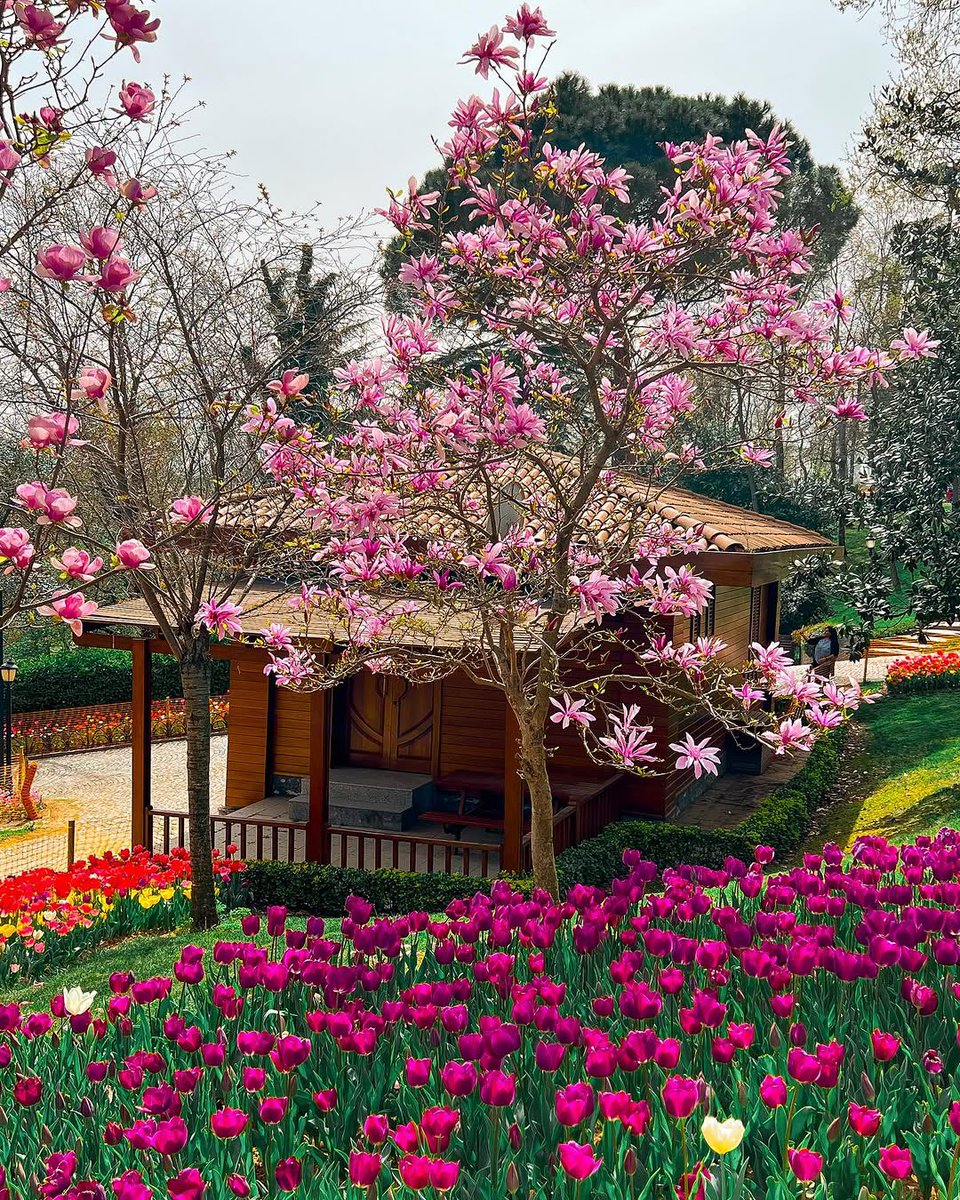 İstanbul Yapılacaklar Listesi tweet media