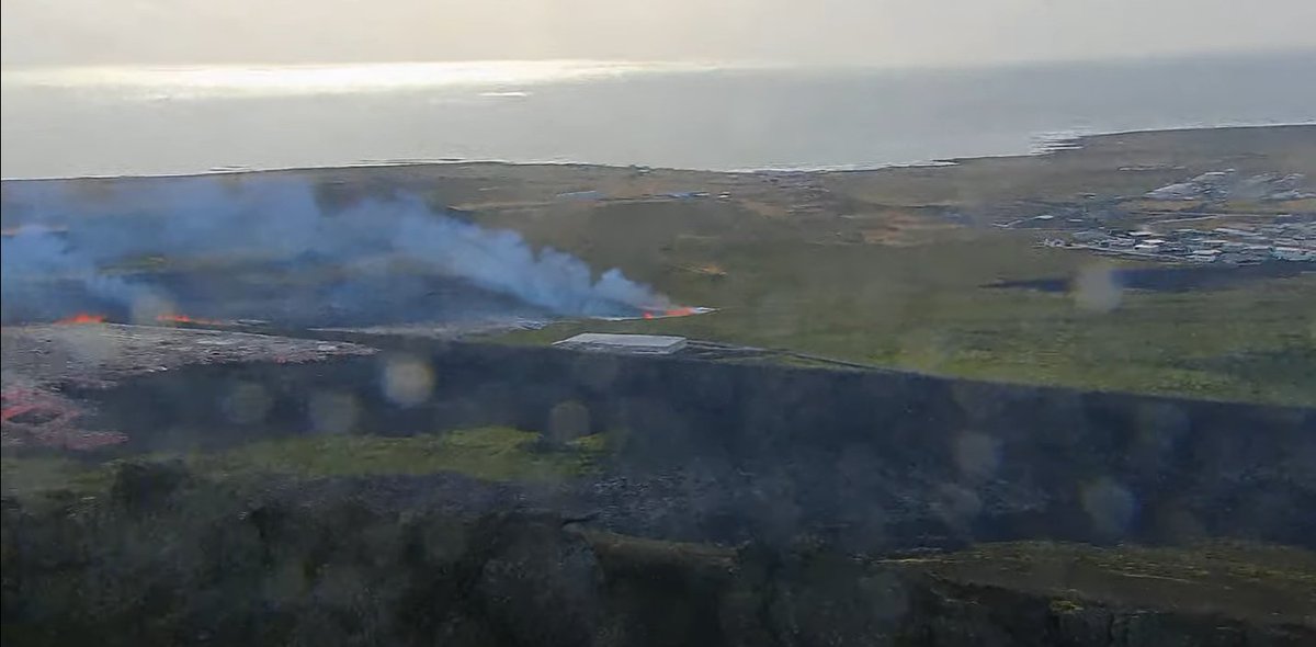 earthy_things tweet media