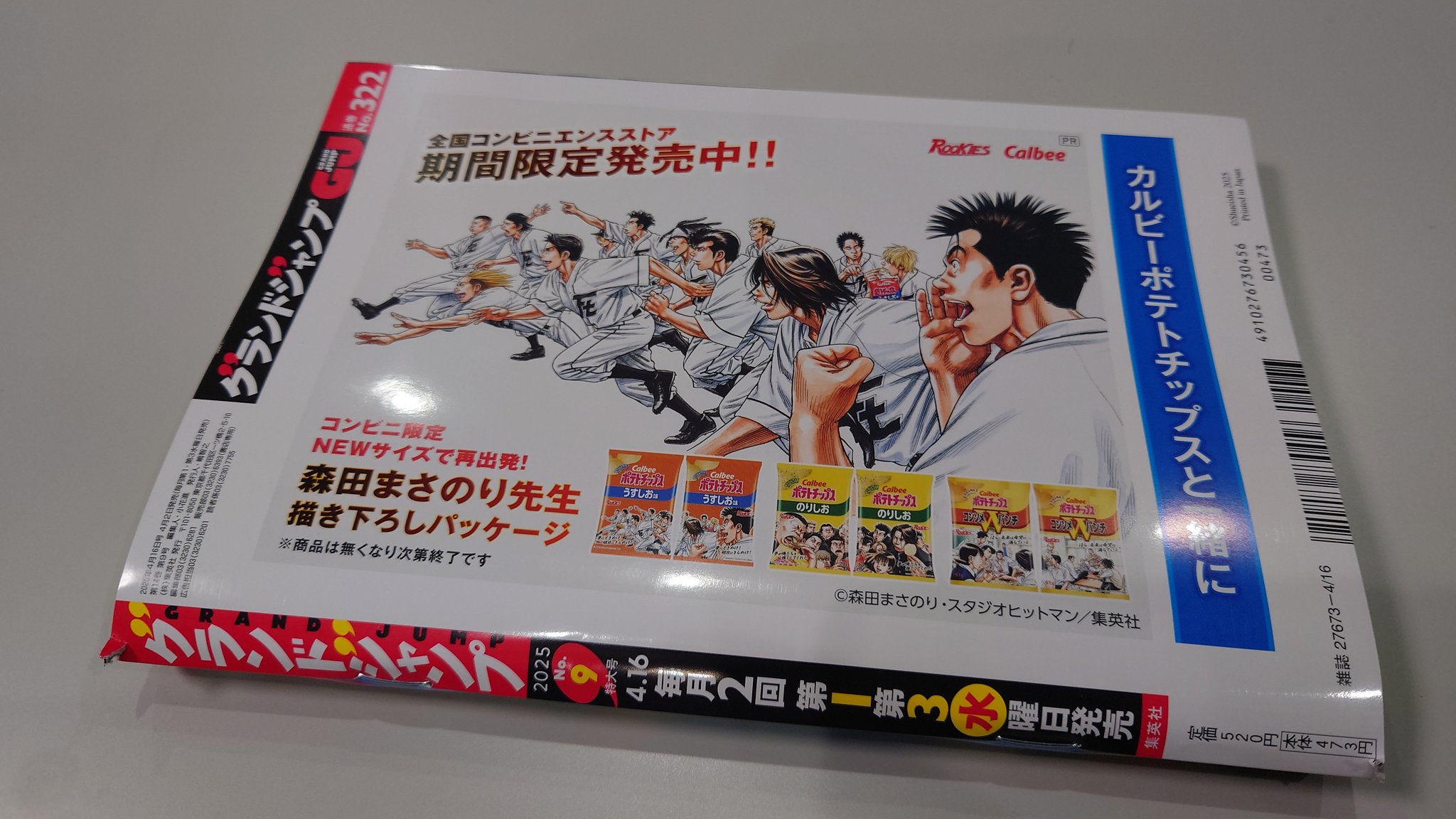 ★再度、値下げしました！★   森田曠平 「竜田川」日本画版画送料無料！ ☆再度、値下げしました！☆ 森田曠平 「竜田川」日本画版画送料