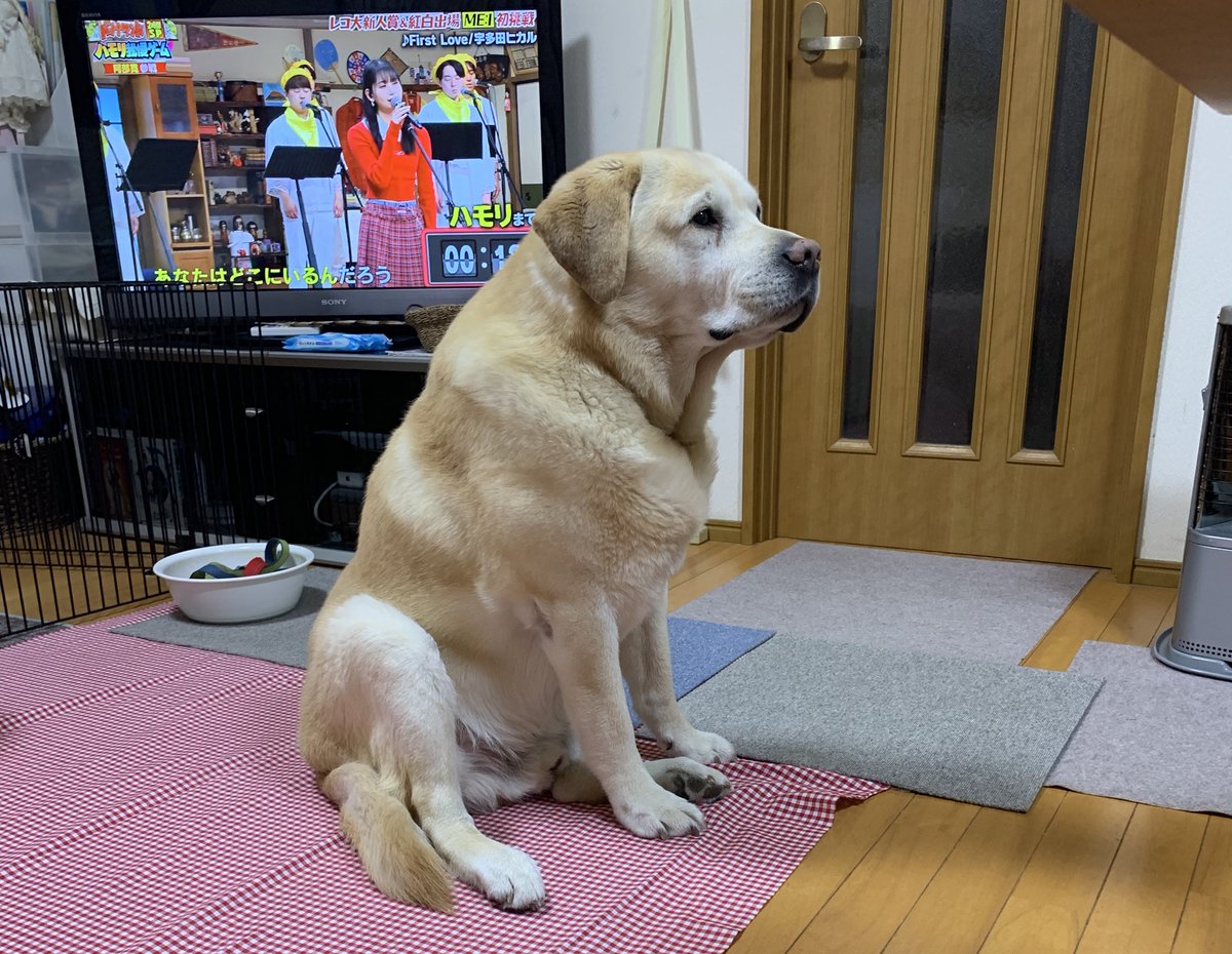 87kanransha's tweet photo. それをくれるのかくれないのかだけ教えてもらっていいですか https://t.co/B3iv7oSCPo