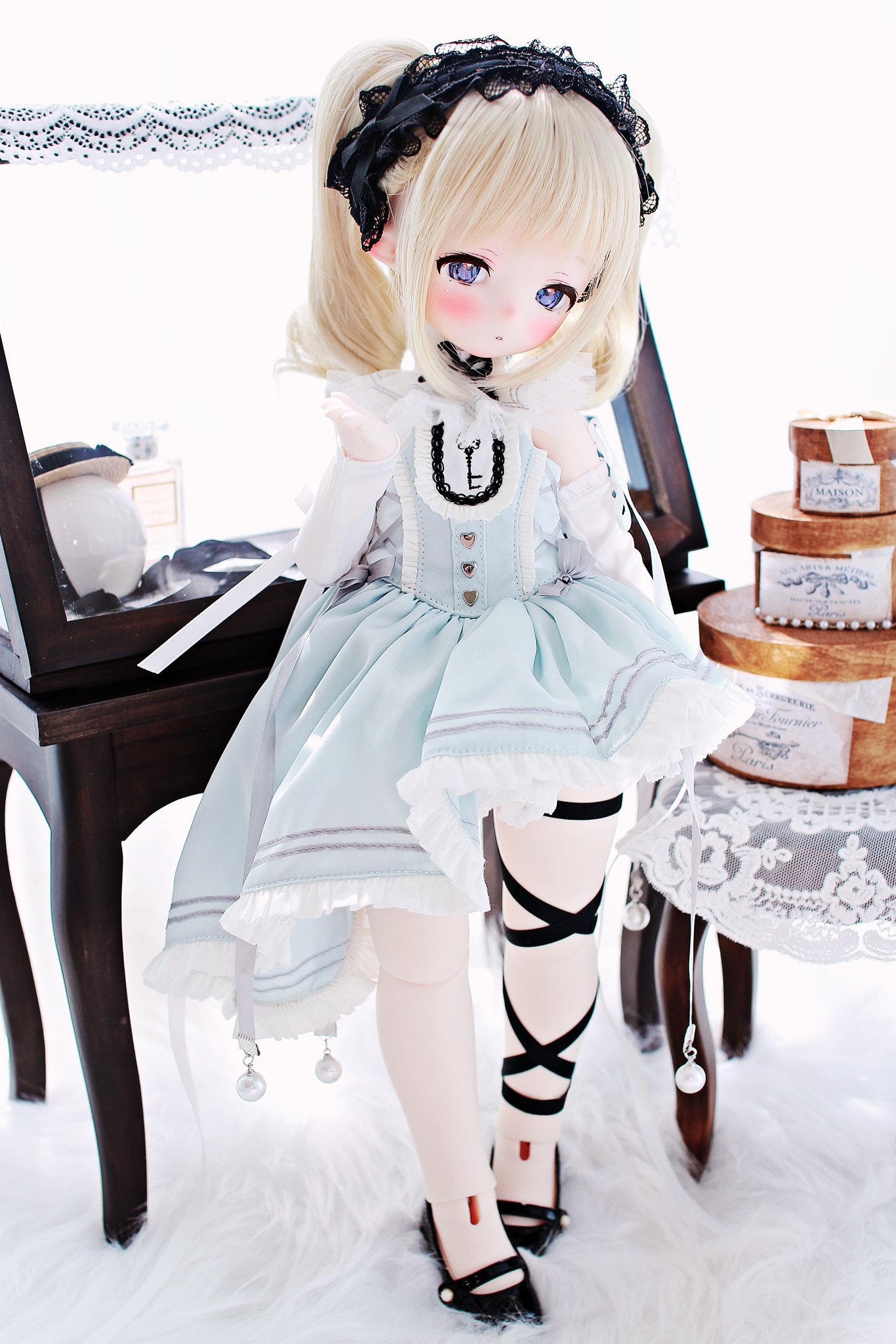 ⚮ . 黒猫ちゃん、白猫ちゃんとも 新しいおうち決まりました