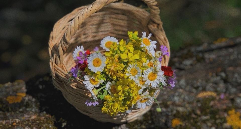 Güzel duygular,mutluluk kokan günleri çağırır…

|| Bâzgeşt