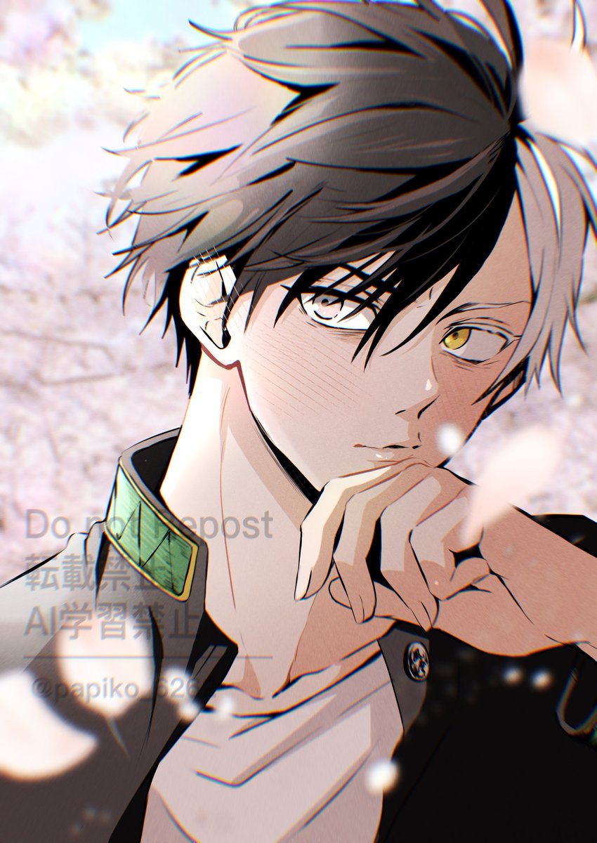 papiko_6262's tweet photo. ふたりともおめでとう✨✨ https://t.co/cbhNiYWb2Q