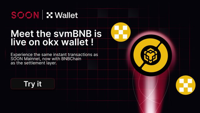 donMoransdiv's tweet image. @soon_svm
Experiment update: svmBNB on BNB Chain boosts dev flexibility with native $BNB gas. Early data shows 15% perf gain! #BlockchainDev #ResearchNotes&quot;#SOONISTHEREDPILL