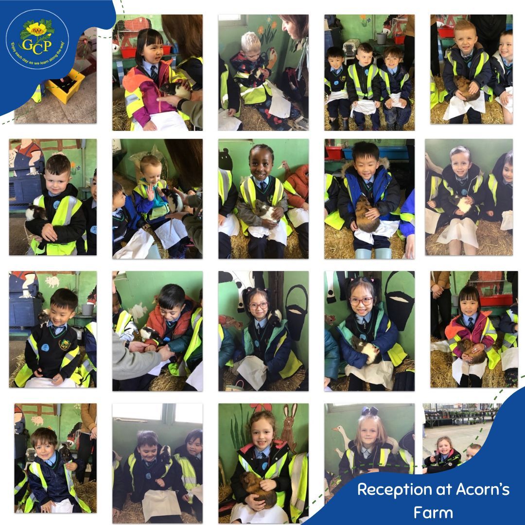 GolborneCPS's tweet photo. Our Reception children had THE best day at Acorn’s Farm. They got to stroke and interact with lots of different animals and learn lots of fun facts! Our children behaved incredibly and a huge thank you to our parent helpers who we couldn’t do it without! #dayatthefarm https://t.co/EqgNA5LSpm