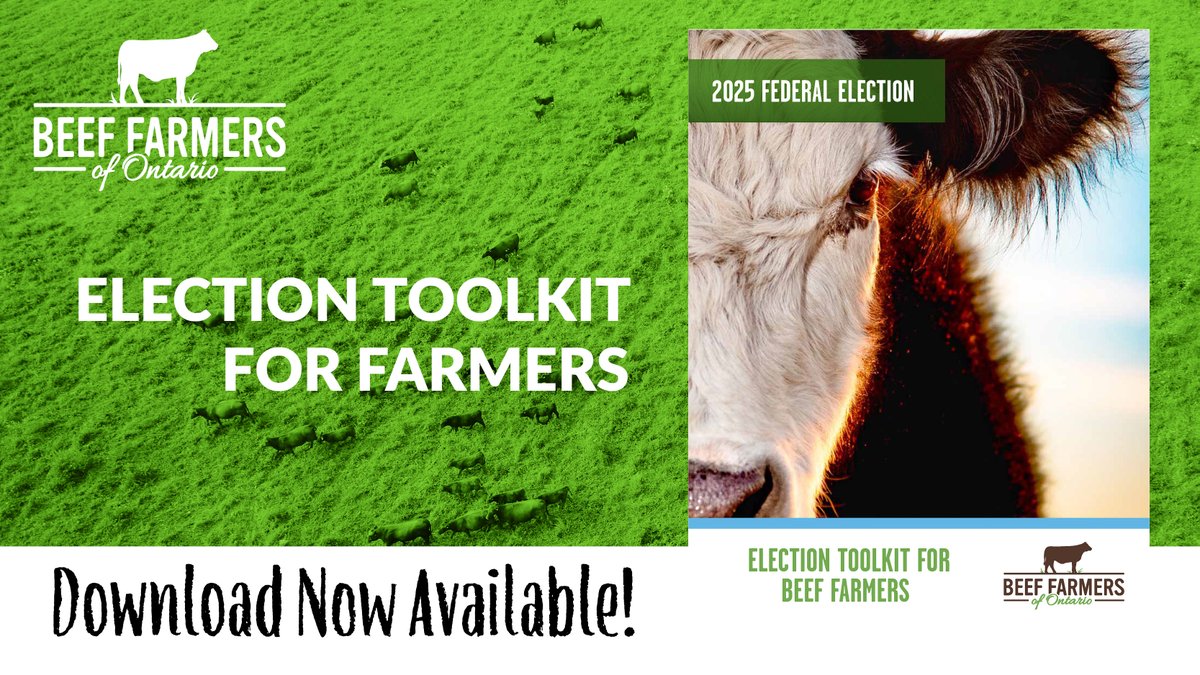 With the federal #election approaching, we have created a toolkit to assist Ontario farmers and industry representatives during engagements with federal candidates on sector priorities. Check it out: ontariobeef.com/communications…