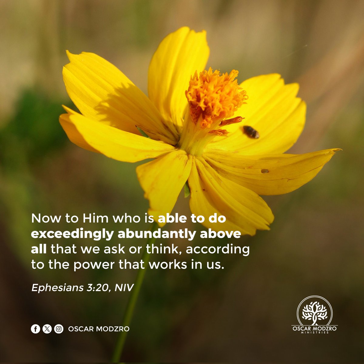 OscarModzro's tweet image. In this new month, let us believe in God for His supernatural abundance and unexpected blessings. Everything you have prayed to God about know that He can exceed your expectations and by His divine provision, He will answer your prayers. Don't lose hope, God is more than able.