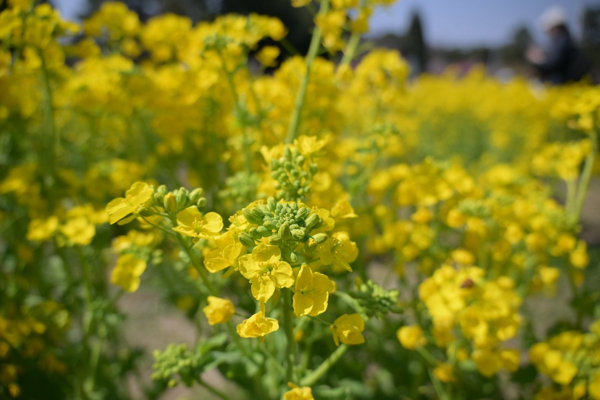 takeo.camp tweet media