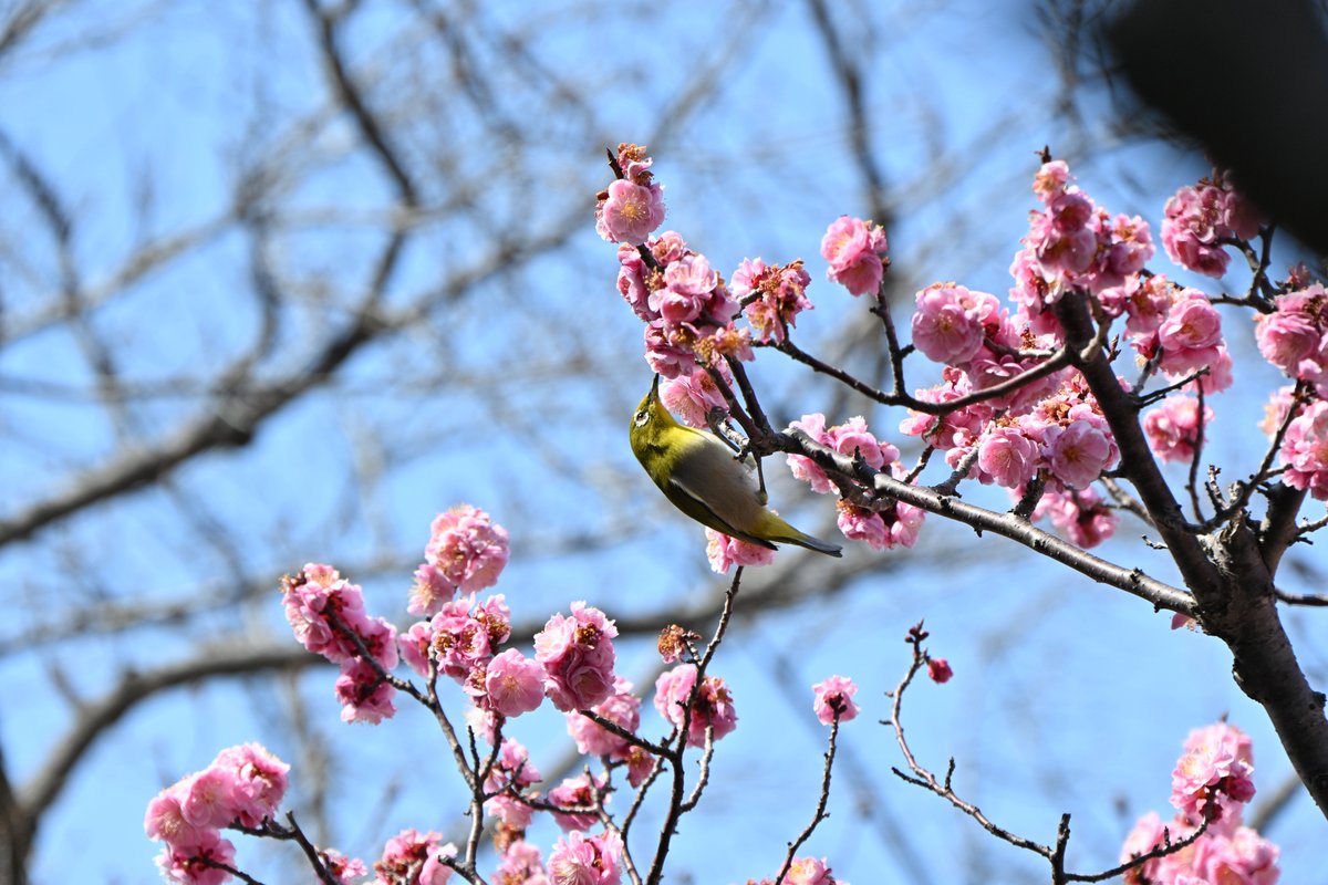 takeo.camp tweet media