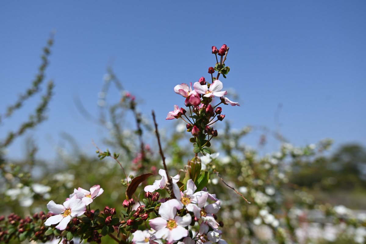 takeo.camp tweet media