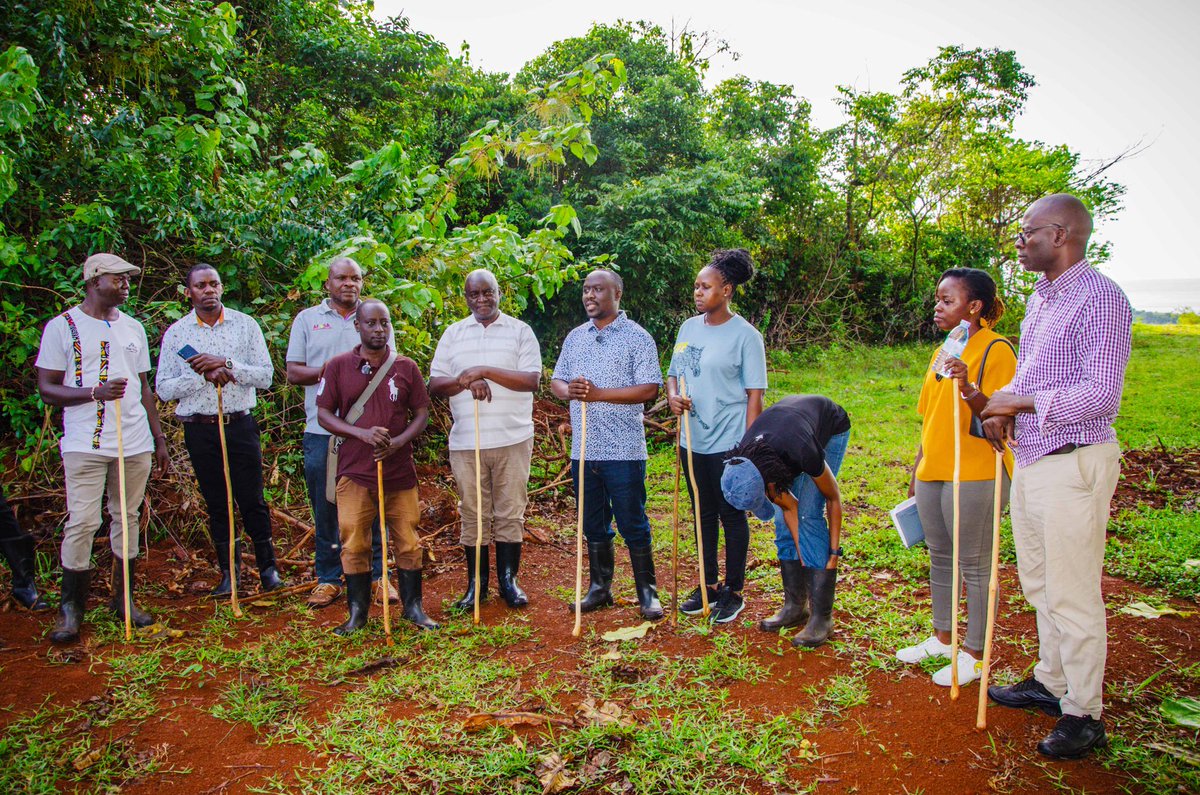 The @PELUM_Network Board visit to Nalumuli Centre was a tremendous success. Board Members witnessed,our regenerative farming practices,rotational grazing systems,and community-led initiatives in action.