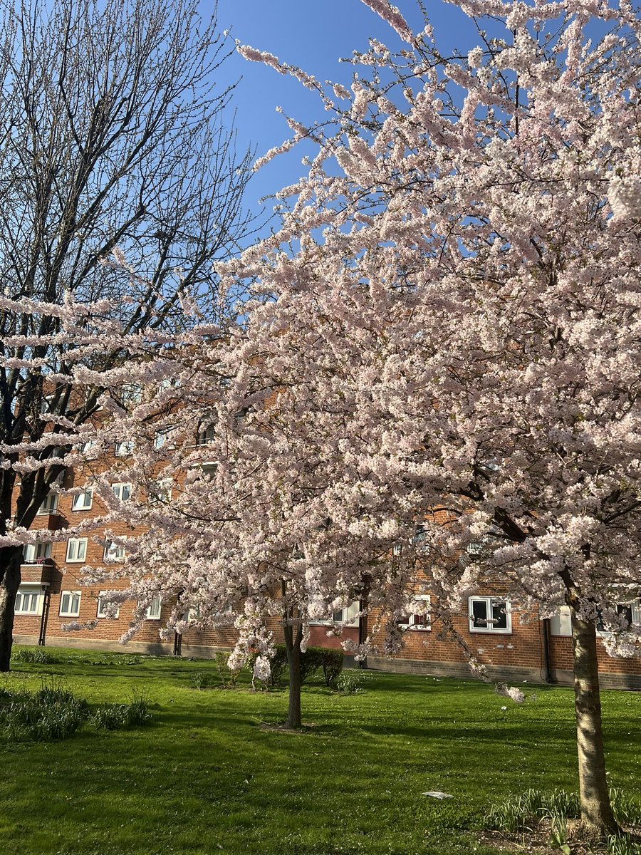Toi_boyy's tweet photo. NO NEED TO FEAR!!!! APRIL IS HERE!!!!! SPRING HAS FINALLY ARRIVED AND WE ARE IN FULL EXAM SEASON. I LOVE SPRING ! https://t.co/LtjmQYkKqU