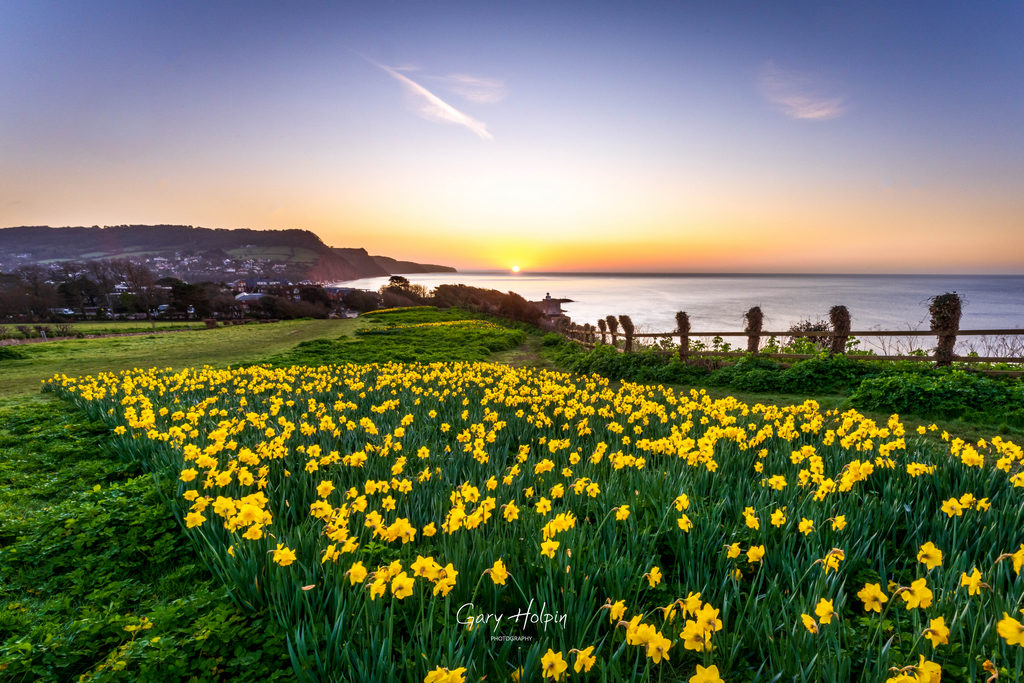 Gary Holpin | Photography tweet media