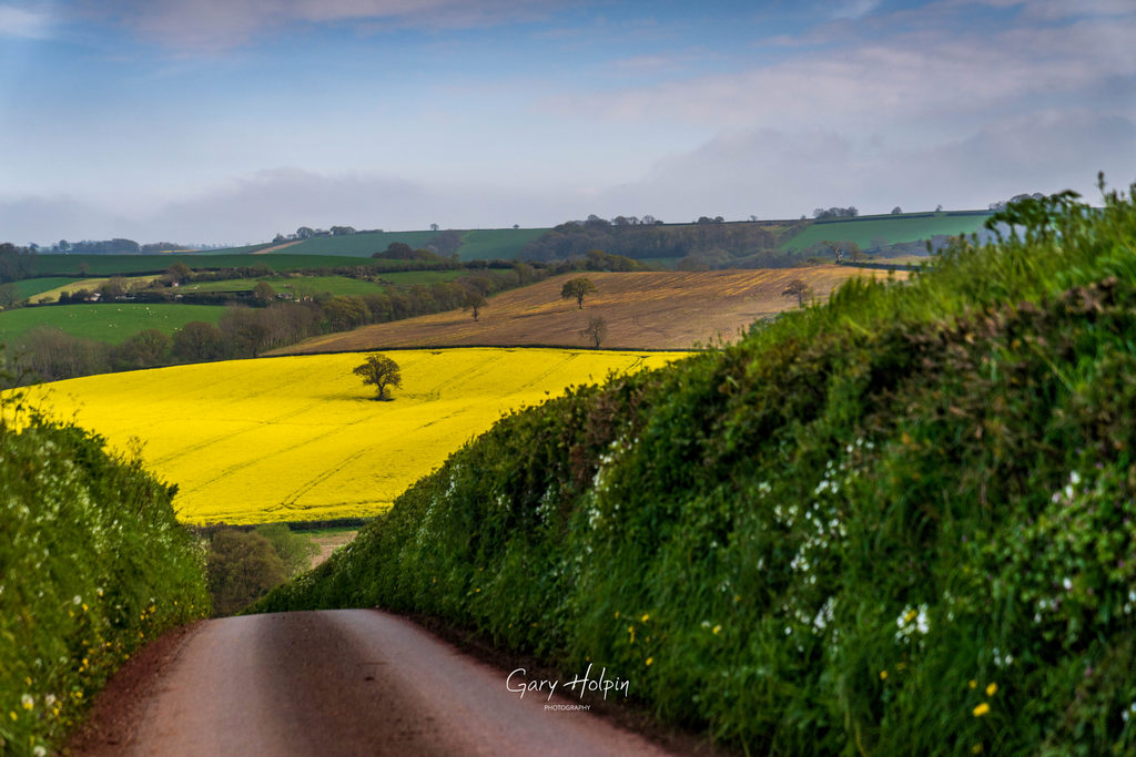 Gary Holpin | Photography tweet media