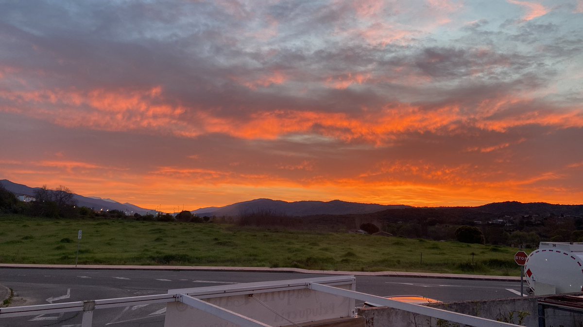 LucasHdezD's tweet photo. De esta mañana 🧡 https://t.co/yrO5ybcROj