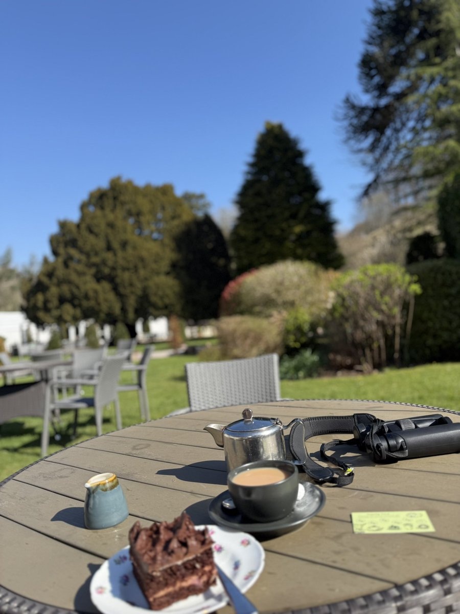 blackdownbirder's tweet image. A big loop walk on the Quantocks this morning with all 3 woodpeckers and a Combe House Hotel coffee & cake reward card. Splendid!
