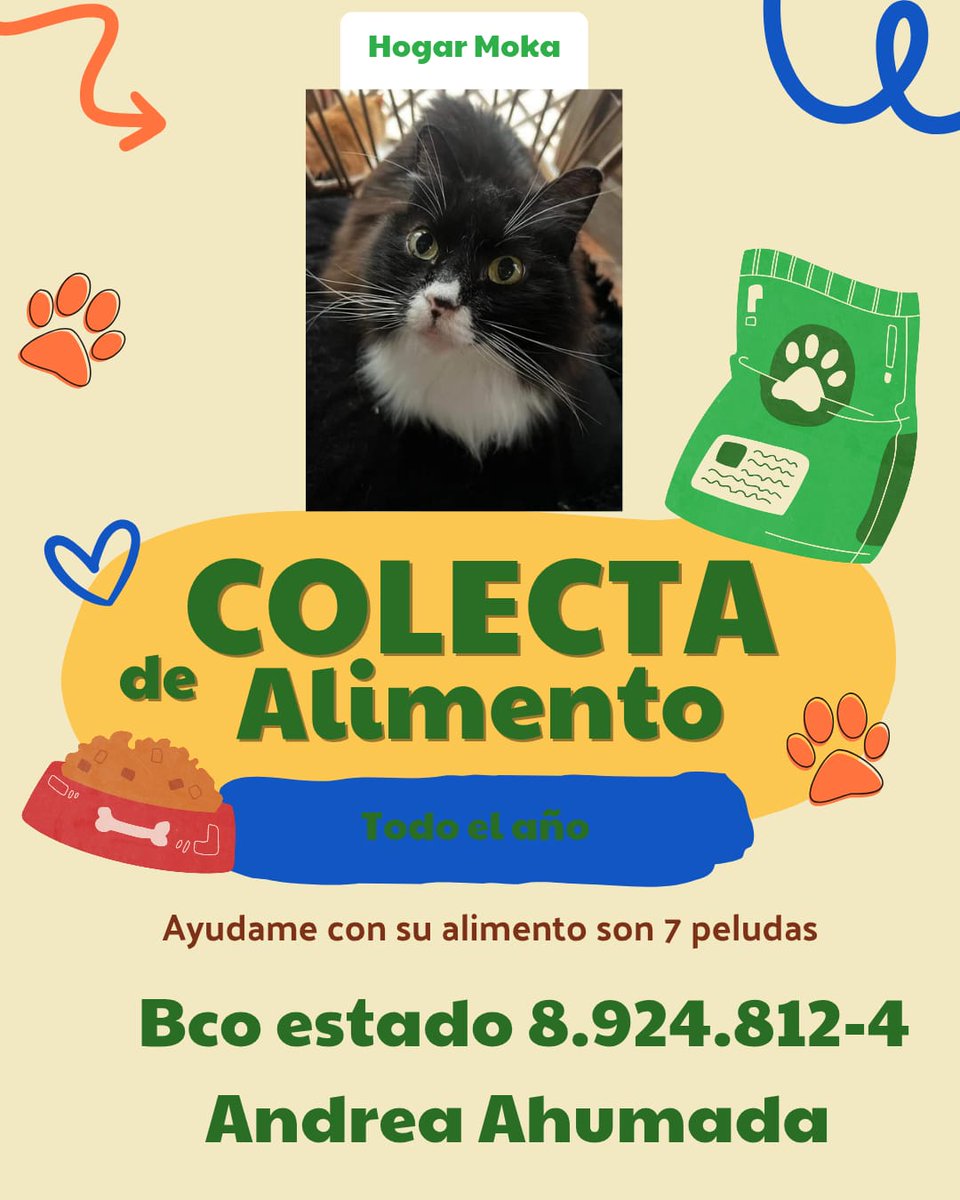 HogarMoka (@andreaandreit19) on Twitter photo Sin #ayuda si #rts sin alimento Quien podria #donar un saco de alimento ?Vamos a probar este alimento +barato ojala no les haga mal x sus alergias aliementarias son 7 🐈⬛ #peludas y 🐕 #florcita andrea ahumada cuenta rut 8.924.812-4 email:andreaandreita_andrea@hotmail.com #ayuda Sin #ayuda si #rts sin alimento Quien podria #donar un saco de alimento ?Vamos a probar este alimento +barato ojala no les haga mal x sus alergias aliementarias son 7 🐈⬛ #peludas y 🐕 #florcita andrea ahumada cuenta rut 8.924.812-4 email:andreaandreita_andrea@hotmail.com #ayuda