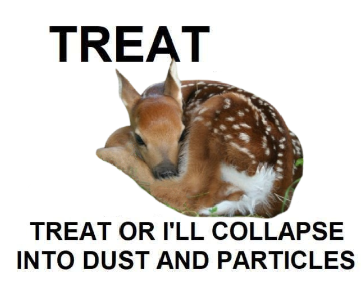transgendeer (@ciervatonta) on Twitter photo 
