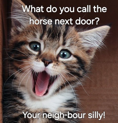 Cheeky Tuesday #chippytea fit the bill? We're here for you folks.  Open 4-7.30pm today just bob in or ring 01924 280278 to book a collection or a delivery #Ossett #Horbury #fishandchips #Tuesdayvibe #AprilFoolsDay