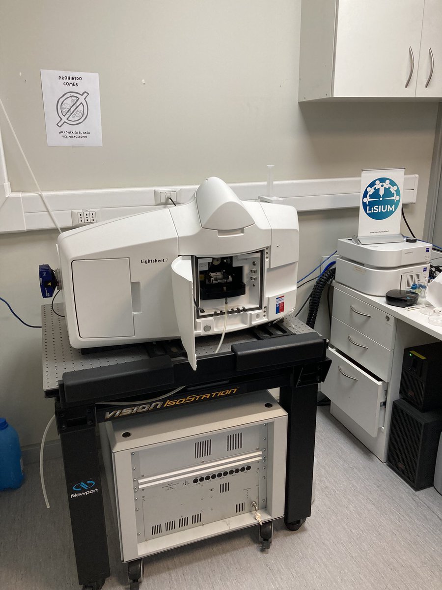 SamuelTadeuRoc1's tweet photo. In the next few days, I will participate in a Light Sheet Microscopy training at @LiSIUM_Chile .Thanks to @LatamBioimaging for the support and @anvargasr for the invitation. We are expanding light sheet microscopy in South America!🇧🇷🇨🇱🔬 https://t.co/V4fE2t53G7