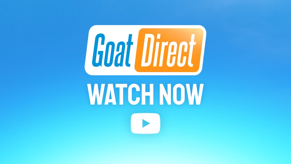 Well I’ll be damned. I told you it wasn’t a joke. Here it is in its full glory, our very first Goat Direct!

Watch it here: youtu.be/WTWoGySOi2o