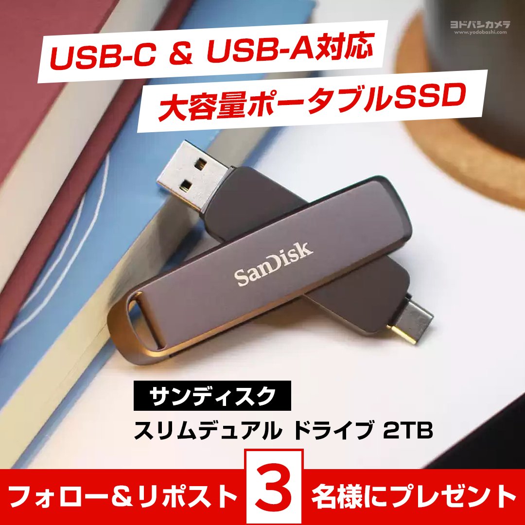 SanDisk サンディスク スリム デュアル ドライブ - 2TB