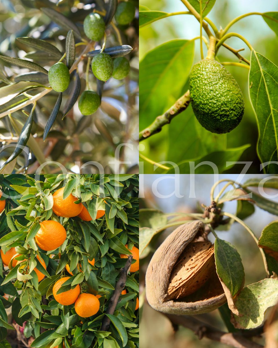 IntercoopConsultoría tweet media