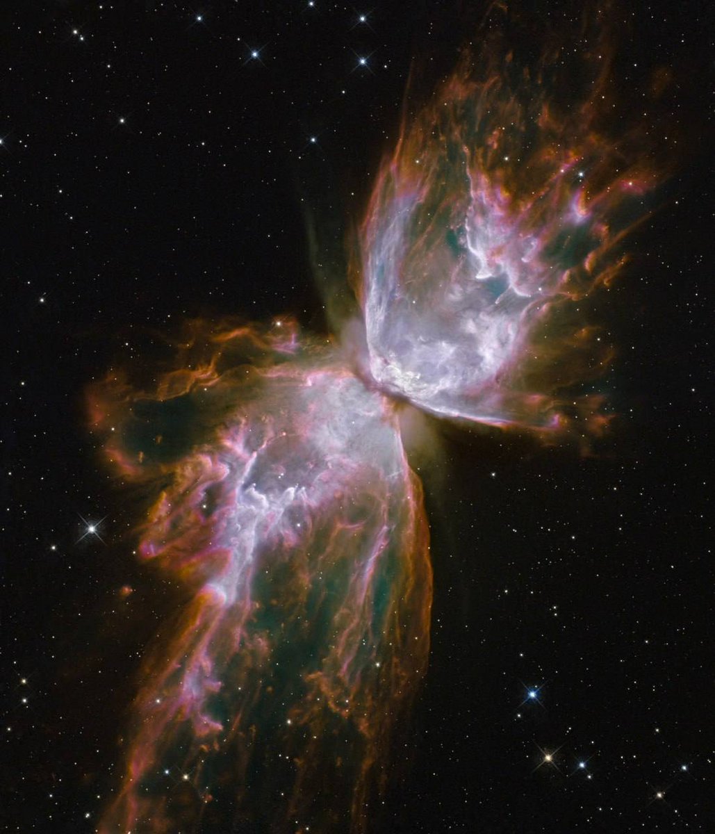 konstructivizm's tweet photo. A Butterfly in the Endless Cosmos.

The Butterfly Nebula (NGC 6302) is one of the most beautiful spectacles in space. It is located about 3,800 light years from Earth in the constellation Scorpius.

This nebula got its name from its shape, reminiscent of the wings of a butterfly, which extend over two light years. These wings are made up of hot gases heated to incredible temperatures by the star at the center of the nebula, which is approaching the end of its life and shedding its outer layers.

The temperature at the center of the nebula reaches 250,000 degrees, making it one of the hottest nebulae known.
