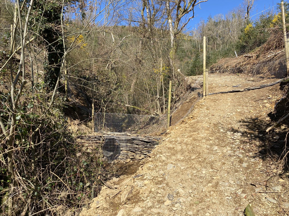 grj243's tweet image. How it started! How it’s going #Premiersolutions for  #PremierShoot #Pennal #MidWales 🏴󠁧󠁢󠁷󠁬󠁳󠁿