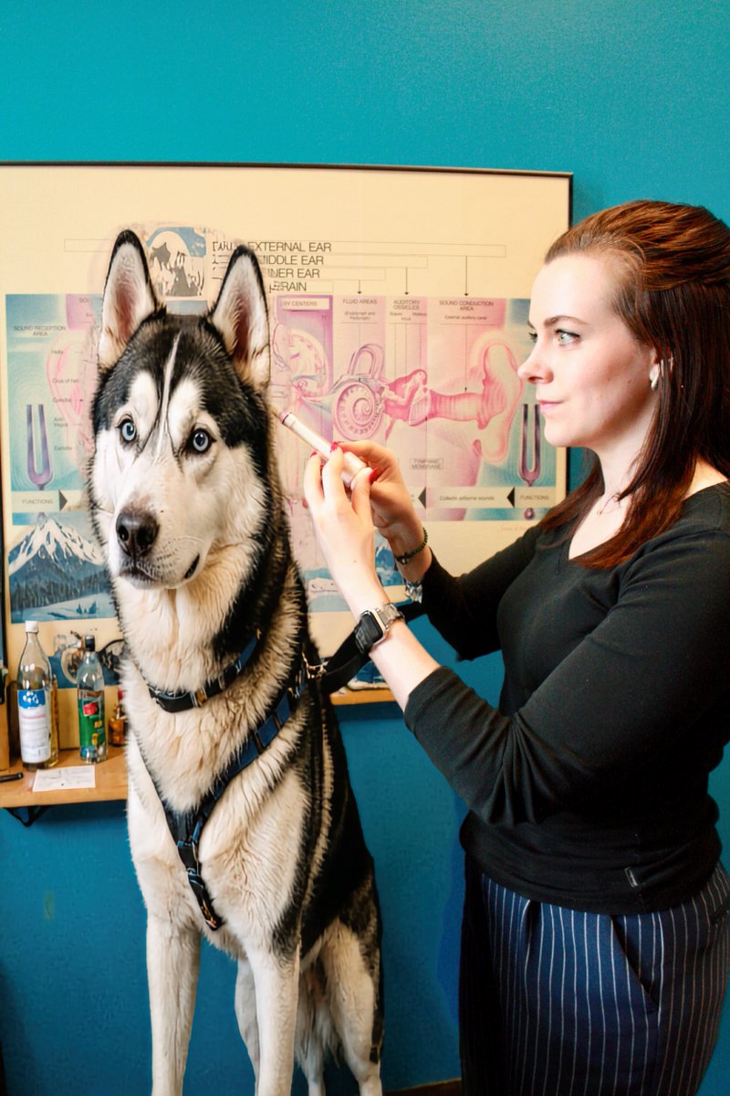 Sensaphonics Unleashes Custom K9MAX IEMs for Discerning Canine Audiophiles - pioneering canine audio technology to bring studio-quality sound to dogs' extraordinary ears!

Get the full story here:
sensaphonics.com/blogs/news/sen…

#checkthedate #RespectYourEars