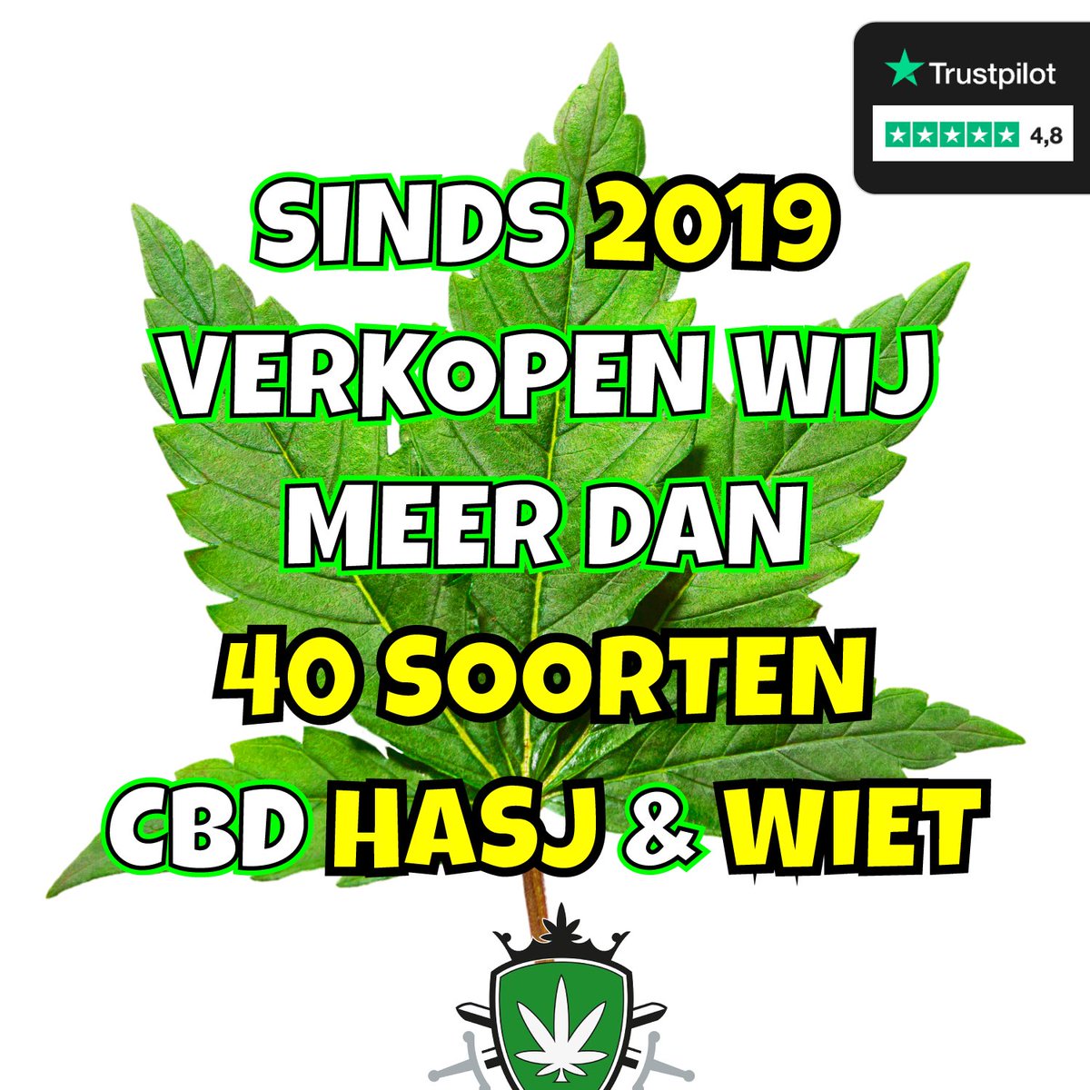 CBDkoning tweet media