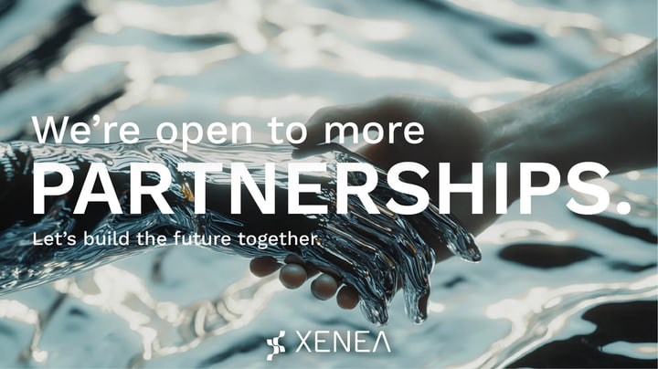 Xenea tweet media