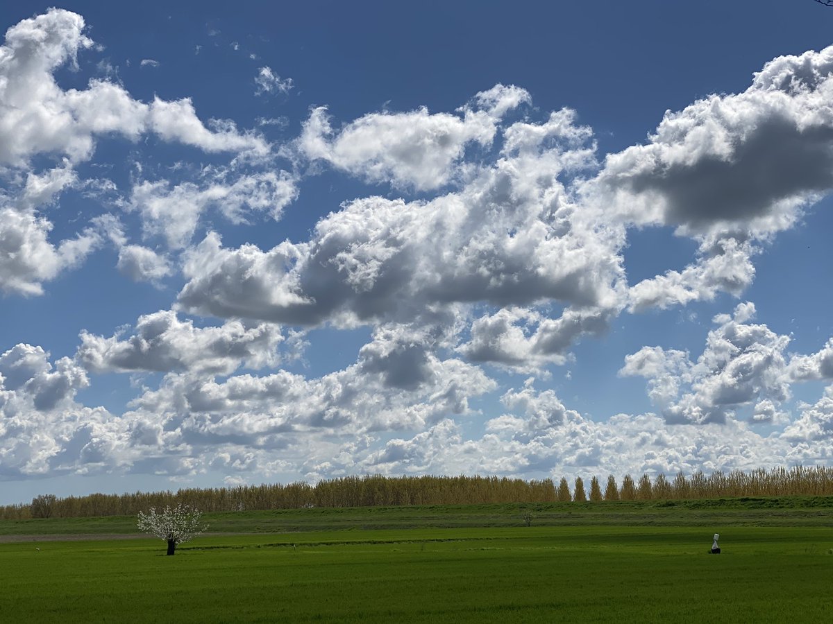 Variabilità #fotografia #primavera
#ficarolo #polesine #travel
#paesaggio #paesaggioitaliano