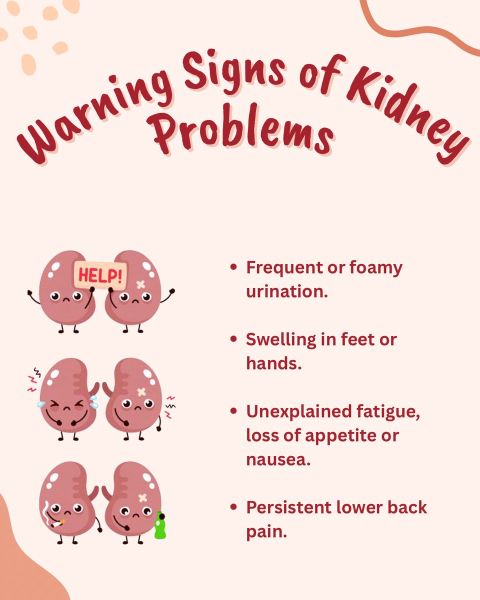 TANKERIndia's tweet image. 🩺 Your kidneys work 24/7 to keep you healthy—are you taking care of them?

They filter blood, remove waste, regulate fluids, and even help control blood pressure! 💙 Know their functions &amp;amp; keep them healthy. Your body depends on it! 🚰🥦

#Kidneycare #TankerFoundation 
#IFKA-WKA