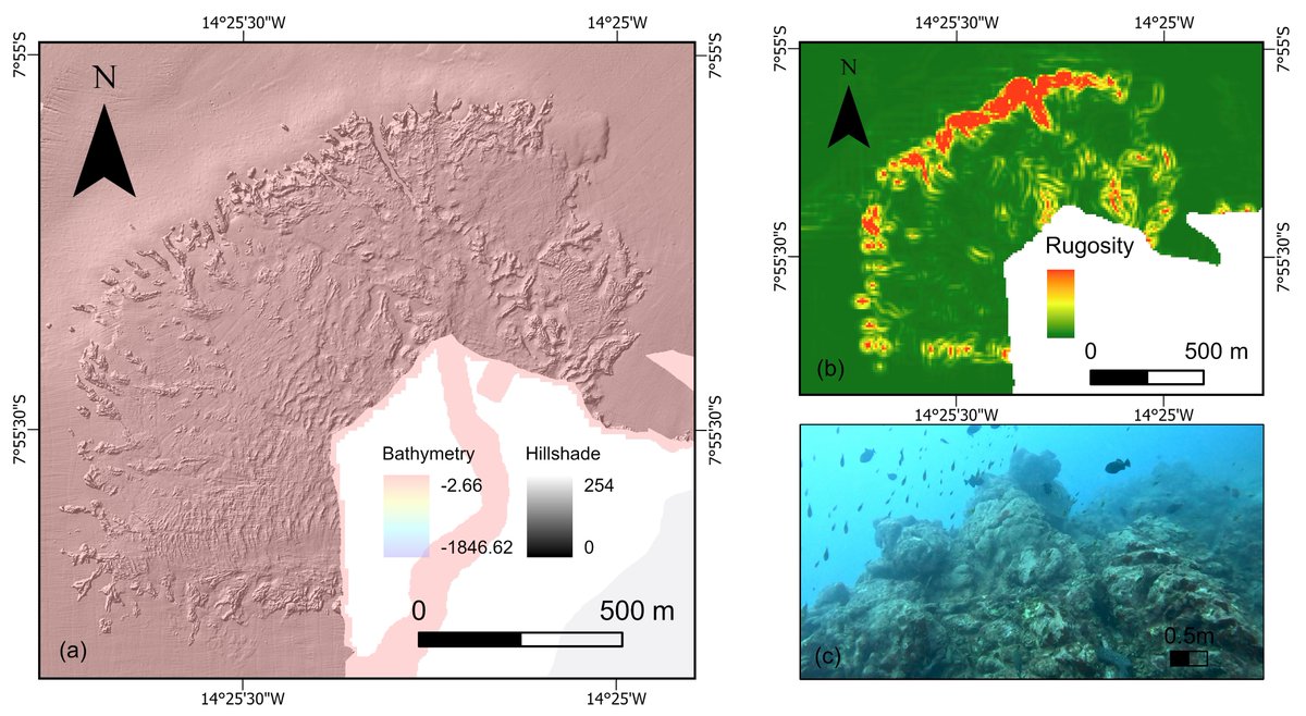 The project was funded by the UK Government and utilised both BGS and Royal Navy bathymetry (depth), backscatter (seabed composition), ground-truth sampling (underwater video footage) and many other derived data layers to create the suite of bespoke geological outputs.