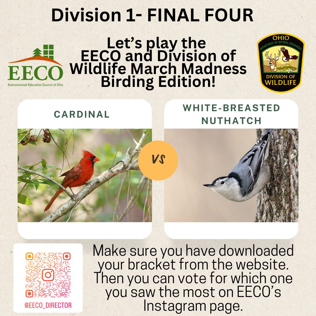 directorEECO's tweet image. No fooling! It is the FINAL FOUR! 😳
Play along and let us know which bird you saw more by voting on our Instagram page. 
To learn about our March Madness Bird Brackets, go to: eeco.wildapricot.org/page-1786411

#getoutside #marchmadnessbirdbracket #BirdingFun